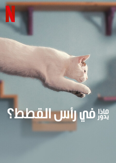 Inside the Mind of a Cat (2022)