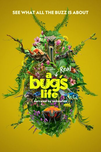 مشاهدة مسلسل A Real Bug's Life موسم 1 حلقة 5 (2024)