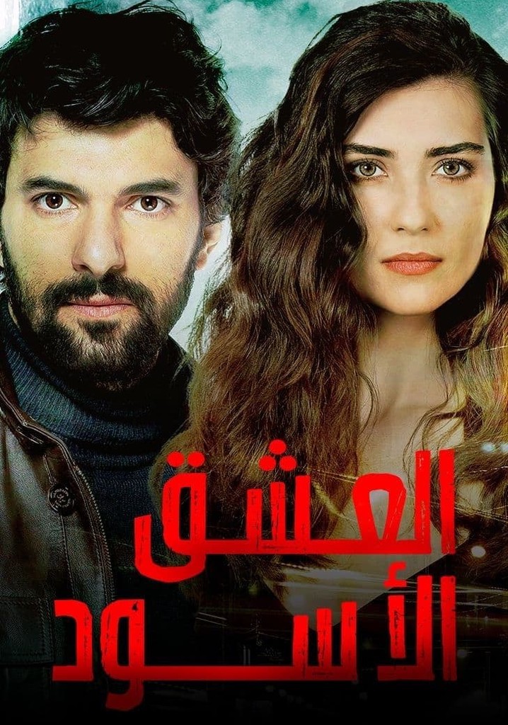 العشق الأسود مدبلج